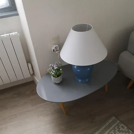Renove Avec Balcon 艾克斯莱班